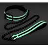 Glo In The Dark Collier-Laisse fluorescente Glo 75cm